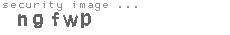 security image