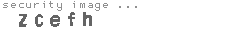 security image