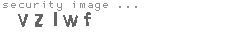 security image