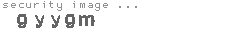security image