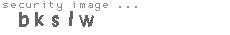 security image
