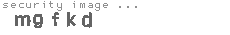 security image