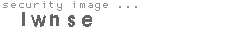 security image