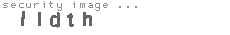 security image