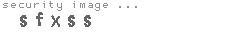 security image