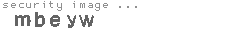 security image