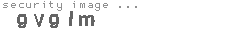 security image