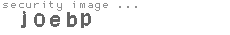 security image