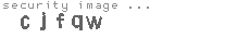security image