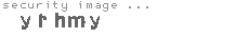 security image