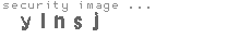 security image