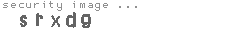security image