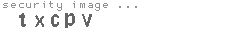 security image