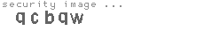 security image