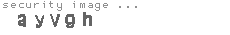 security image