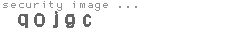 security image
