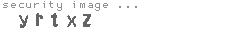 security image