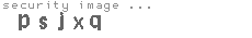 security image