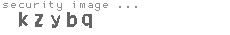 security image
