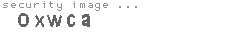 security image