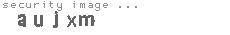 security image