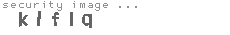 security image