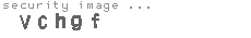 security image