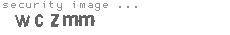 security image
