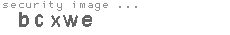 security image