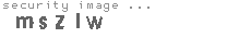 security image