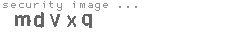 security image