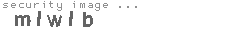 security image