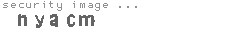 security image