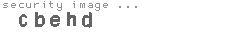 security image