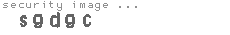 security image