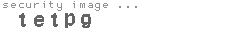 security image