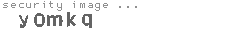 security image