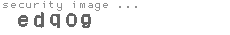 security image