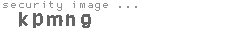 security image
