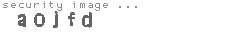 security image