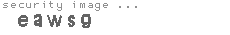 security image