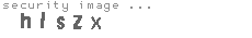 security image