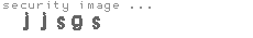 security image