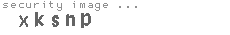 security image