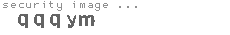 security image