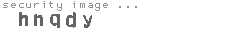 security image
