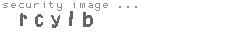security image