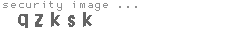 security image