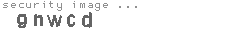 security image