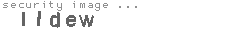 security image